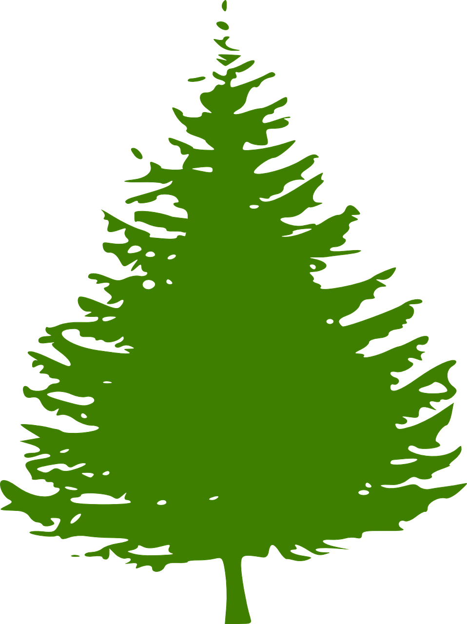 Reforestation icon - pine tree Green pine tree symbolizing reforestation and environmental sustainability